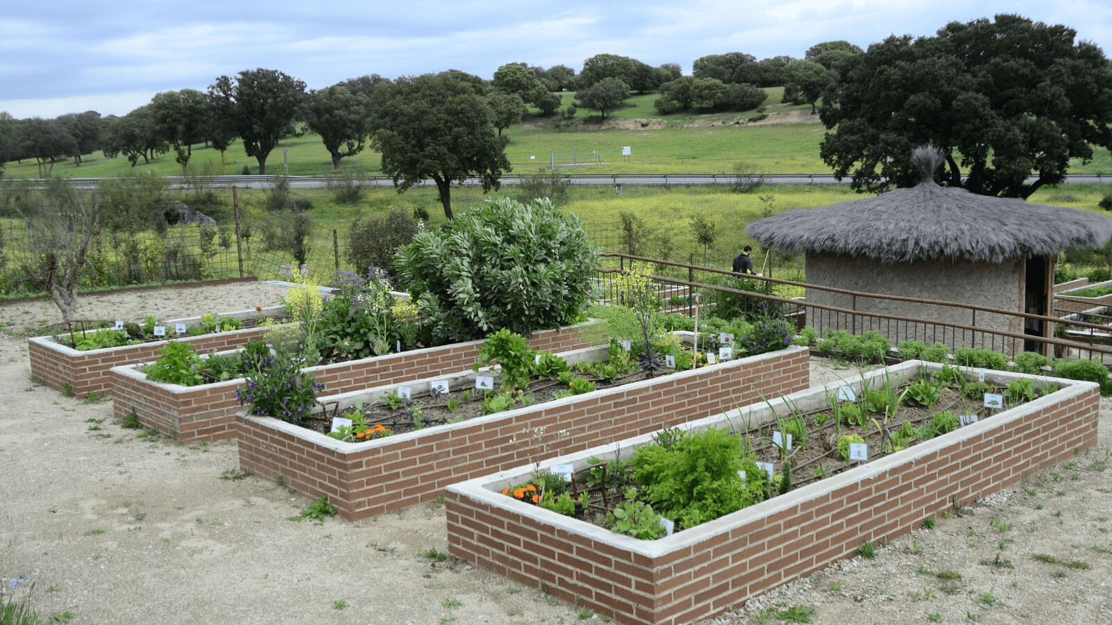 Boadilla recuerda a los vecinos el correcto uso de los contenedores de poda