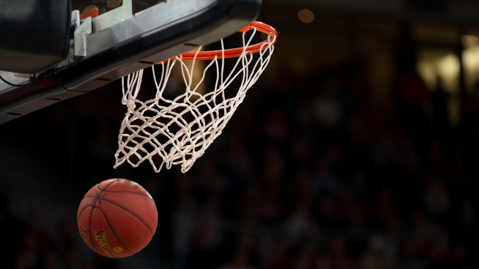 El año decisivo para el Baloncesto europeo El año decisivo para el Baloncesto europeo