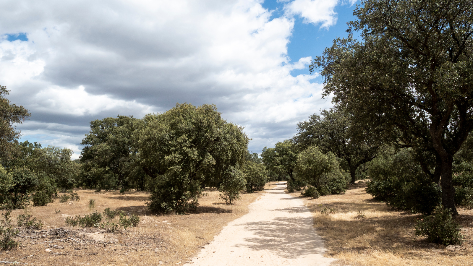 Boadilla del Monte se suma al proyecto Arco Verde Universidades