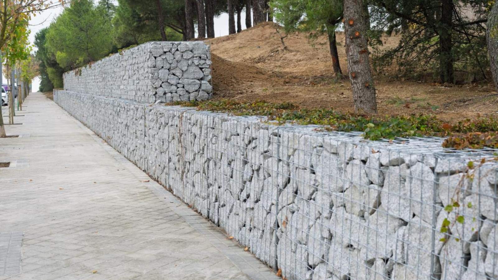 Boadilla del Monte culmina la mejora del entorno de la avenida Condesa de Chinchón Boadilla del Monte culmina la mejora del entorno de la avenida Condesa de Chinchón