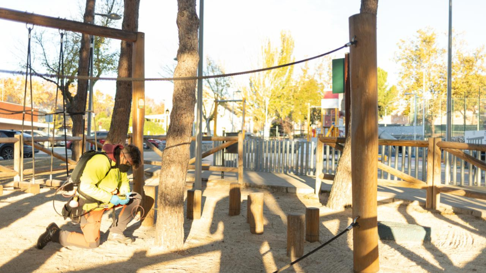 Boadilla activa la campaña anual contra la procesionaria con endoterapia