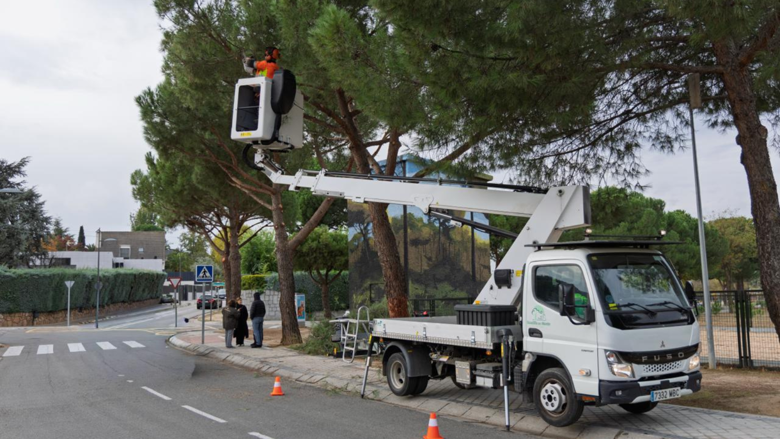 Boadilla activa el Plan de Poda del arbolado urbano 2025–2026