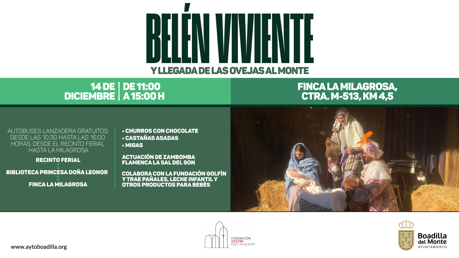 Las ovejas regresan a La Milagrosa para celebrar una jornada navideña Las ovejas regresan a La Milagrosa para celebrar una jornada navideña