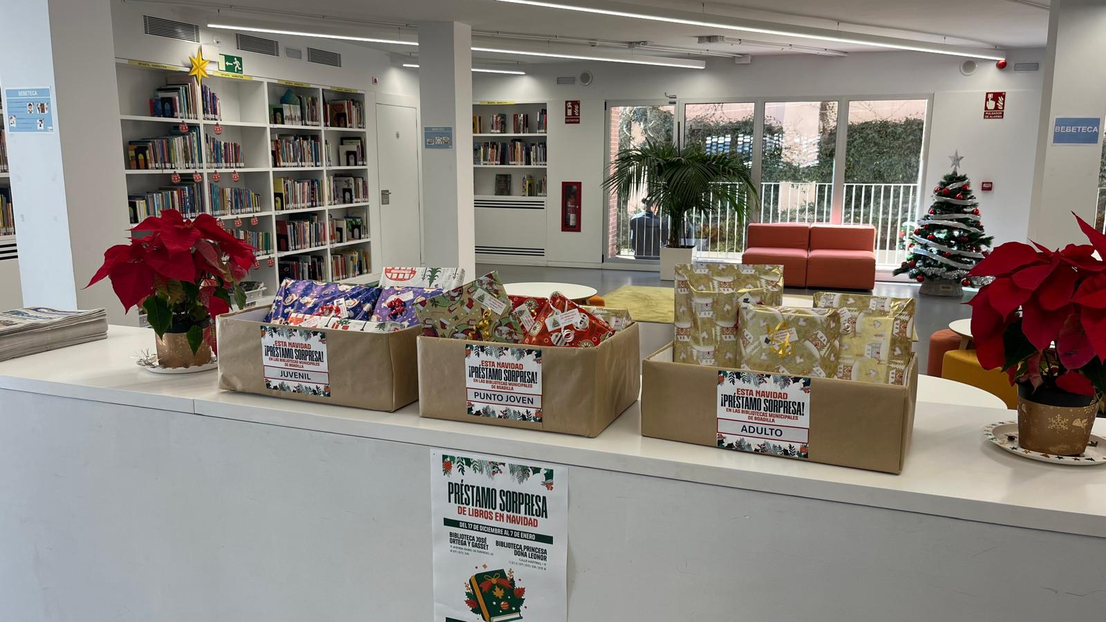 Las bibliotecas municipales lanzan el ‘Préstamo Sorpresa’ esta Navidad Las bibliotecas municipales lanzan el ‘Préstamo Sorpresa’ esta Navidad