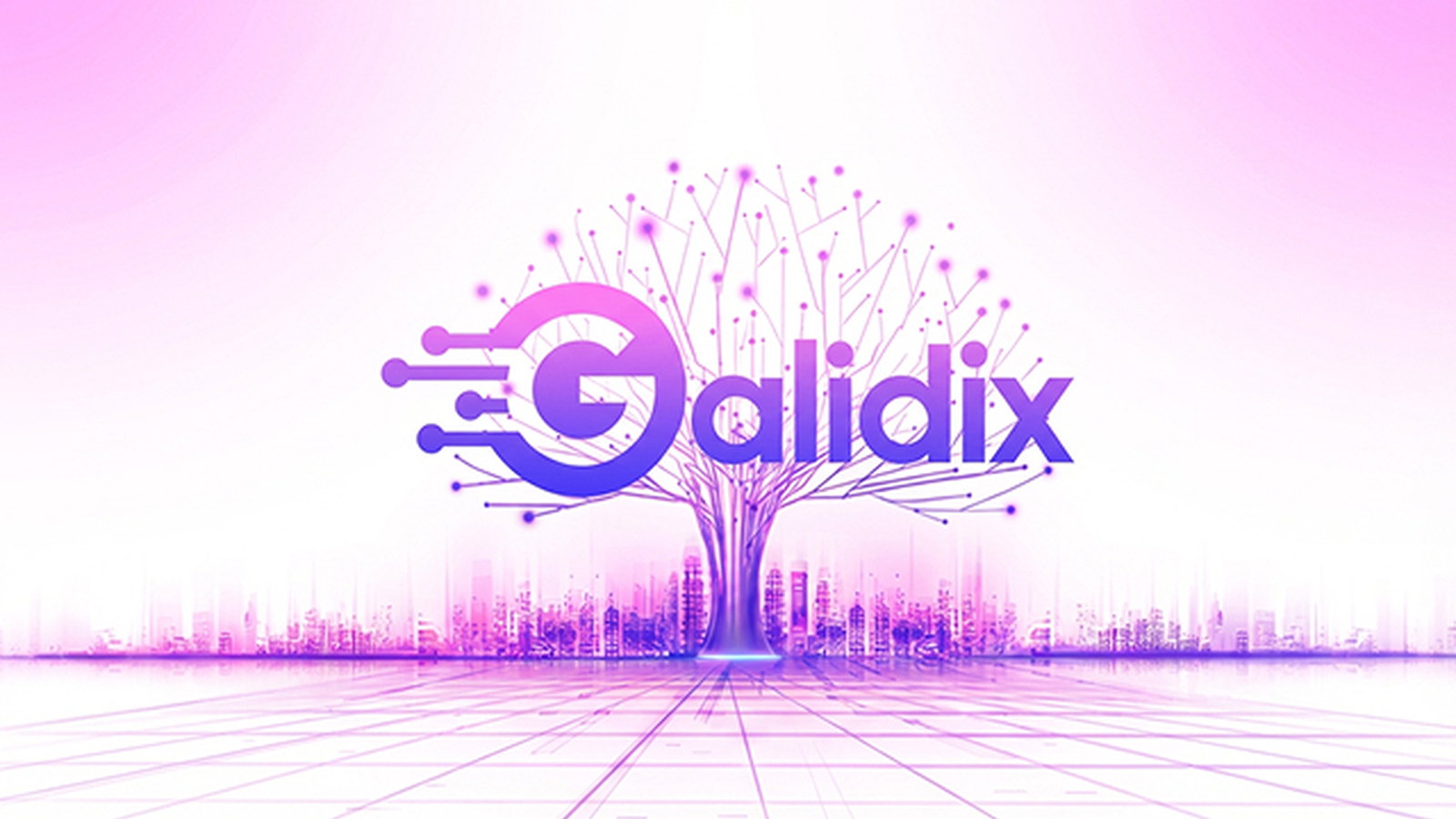 Galidix: Información esencial del mercado