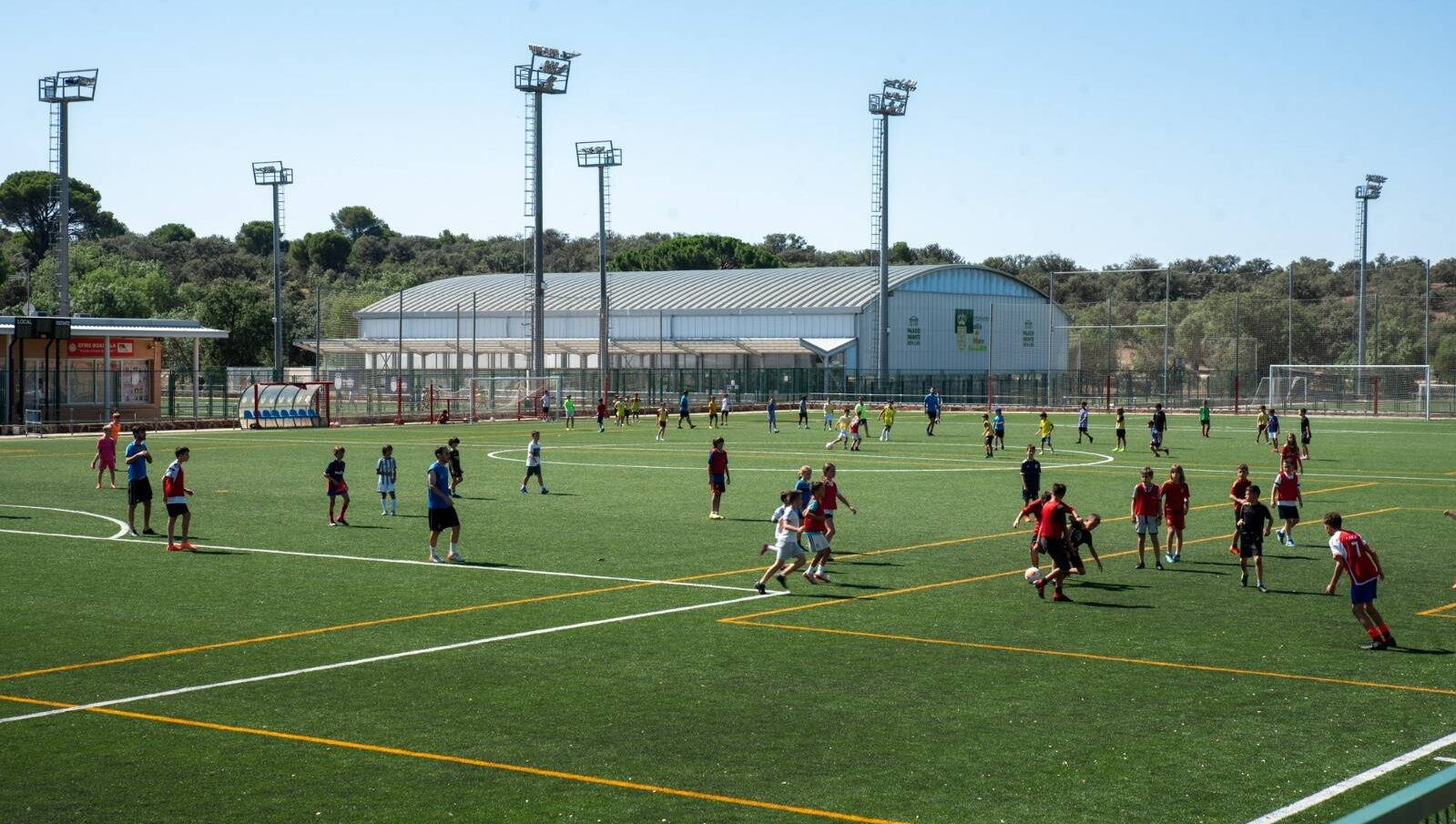 Arranca el proceso de inscripción para las colonias y campus de verano en Boadilla