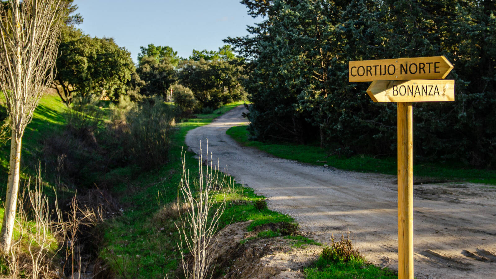 Nueva senda peatonal y ciclista para conectar tres urbanizaciones de Boadilla Nueva senda peatonal y ciclista para conectar tres urbanizaciones de Boadilla