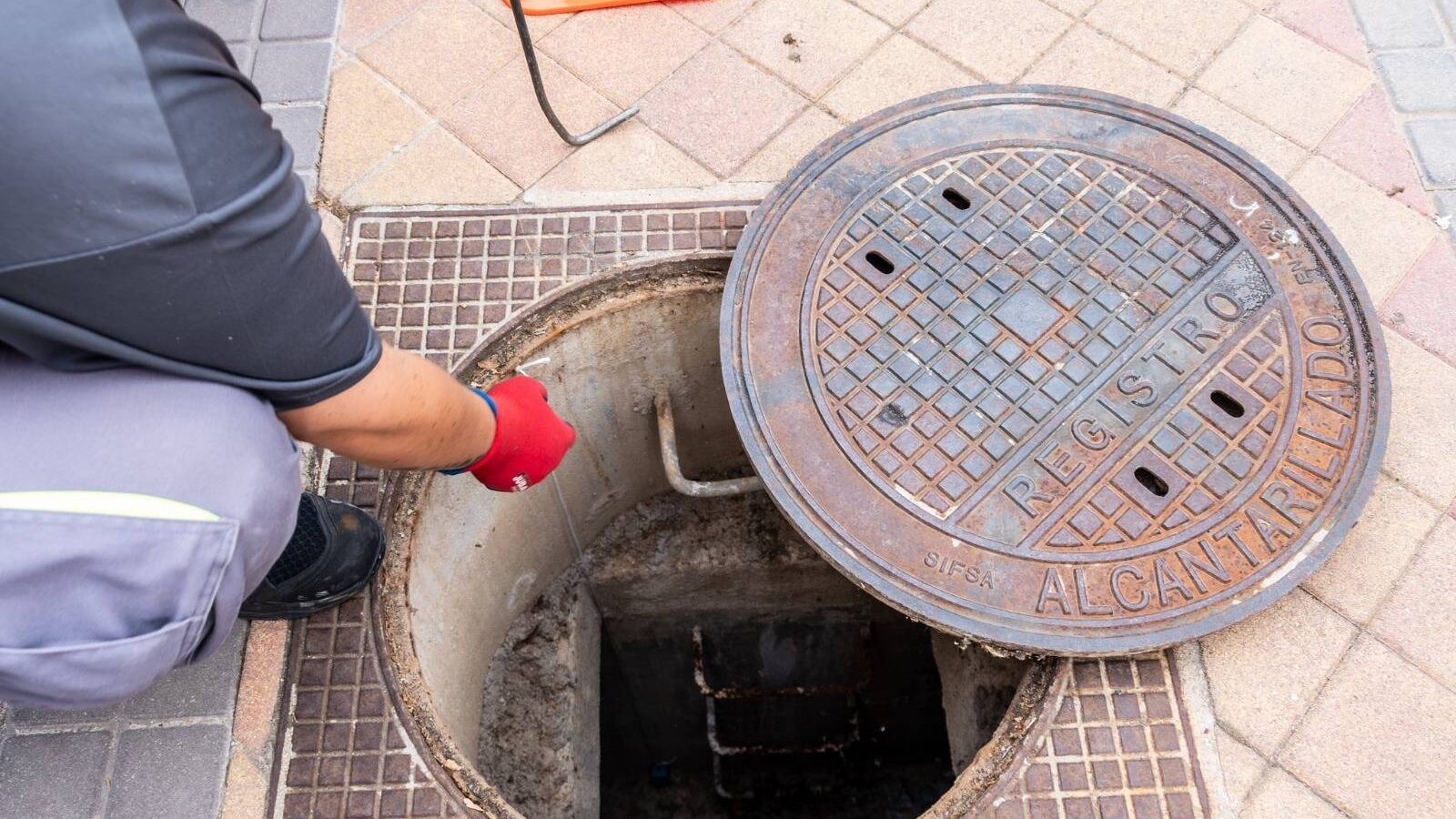 Boadilla intensifica el control de roedores e insectos en julio