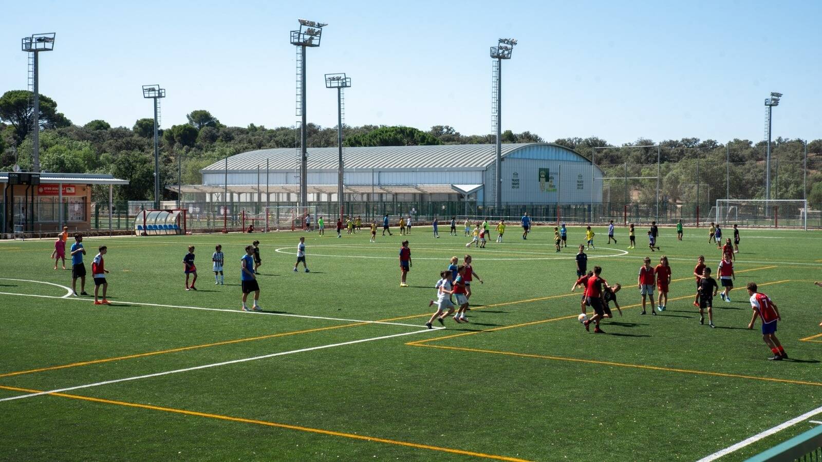 Boadilla bate récords deportivos con más de 19.000 abonados