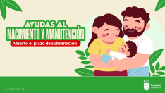 boadilla-abre-el-plazo-para-subsanar-los-errores-en-las-ayudas-por-nacimiento-y-manutencion