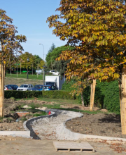 el-ayuntamiento-afronta-la-remodelacion-integral-del-parque-virgen-del-pilar-dentro-del-plan-del-casco-historico