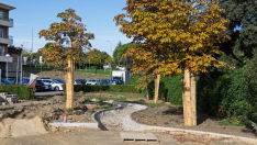 el-ayuntamiento-afronta-la-remodelacion-integral-del-parque-virgen-del-pilar-dentro-del-plan-del-casco-historico