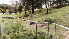 boadilla-del-monte-arranca-su-campana-anual-de-plantacion-para-reforzar-las-zonas-verdes