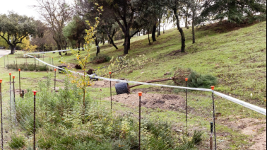boadilla-del-monte-arranca-su-campana-anual-de-plantacion-para-reforzar-las-zonas-verdes