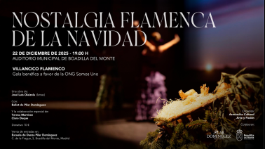 el-auditorio-municipal-acoge-el-espectaculo-solidario-nostalgia-flamenca-de-la-navidad