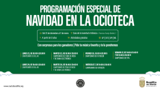 la-ocioteca-programa-campeonatos-gratuitos-esta-navidad-en-la-casa-de-la-juventud-e-infancia