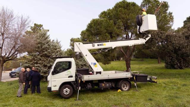 boadilla-inicia-la-campana-anual-para-controlar-la-procesionaria-del-pino
