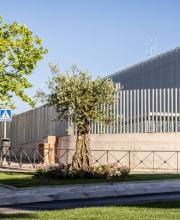 boadilla-renueva-la-mediana-de-la-calle-ronda-con-nuevo-ajardinamiento-y-riego-eficiente