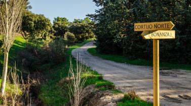 nueva-senda-peatonal-y-ciclista-para-conectar-tres-urbanizaciones-de-boadilla