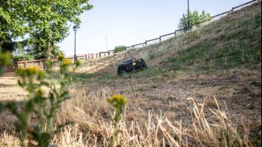 boadilla-ha-completado-ya-el-80-de-la-campana-de-desbroce-en-mas-de-400-hectareas
