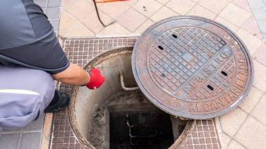 boadilla-intensifica-el-control-de-roedores-e-insectos-en-julio
