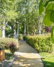 boadilla-refuerza-zonas-verdes-con-miles-de-plantaciones