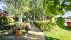 boadilla-refuerza-zonas-verdes-con-miles-de-plantaciones