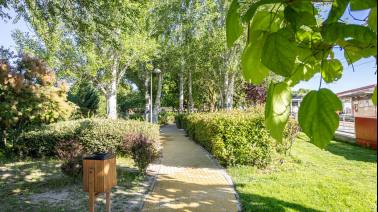 boadilla-refuerza-zonas-verdes-con-miles-de-plantaciones