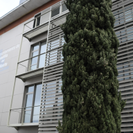 Comienzan los pagos de las ayudas municipales a la natalidad, manutención y escolarización en 2025