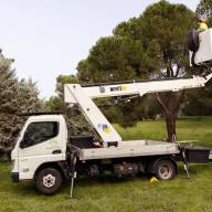 Boadilla inicia la campaña anual para controlar la procesionaria del pino