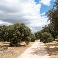 Boadilla del Monte se suma al proyecto Arco Verde Universidades