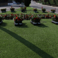 Boadilla del Monte da la bienvenida al verano con más de 20.000 flores
