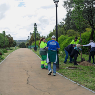 Boadilla del Monte amplía su masa arbórea con una nueva plantación junto al Parque del Pilar