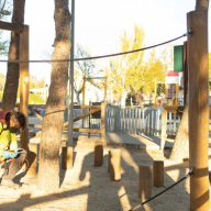 Boadilla activa la campaña anual contra la procesionaria con endoterapia