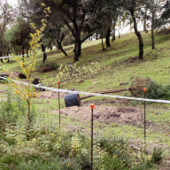 Boadilla del Monte arranca su campaña anual de plantación para reforzar las zonas verdes