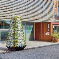 Flores blancas y amarillas en Boadilla como homenaje al Papa ante su próxima visita a España