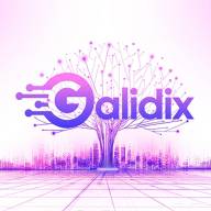 Galidix: Información esencial del mercado