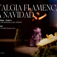 El Auditorio Municipal acoge el espectáculo solidario “Nostalgia flamenca de la Navidad”