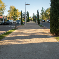 Boadilla impulsa su masa arbórea con más de 4.600 nuevos ejemplares desde 2021