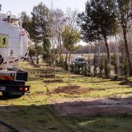 Más verde en uno de los accesos a Boadilla: 115 nuevos árboles junto a la depuradora