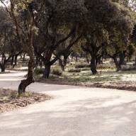 Finaliza en Boadilla la mejora de la senda ciclable paralela a la M-516 hasta la urbanización Los Fresnos