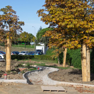 El Ayuntamiento afronta la remodelación integral del parque Virgen del Pilar dentro del plan del casco histórico