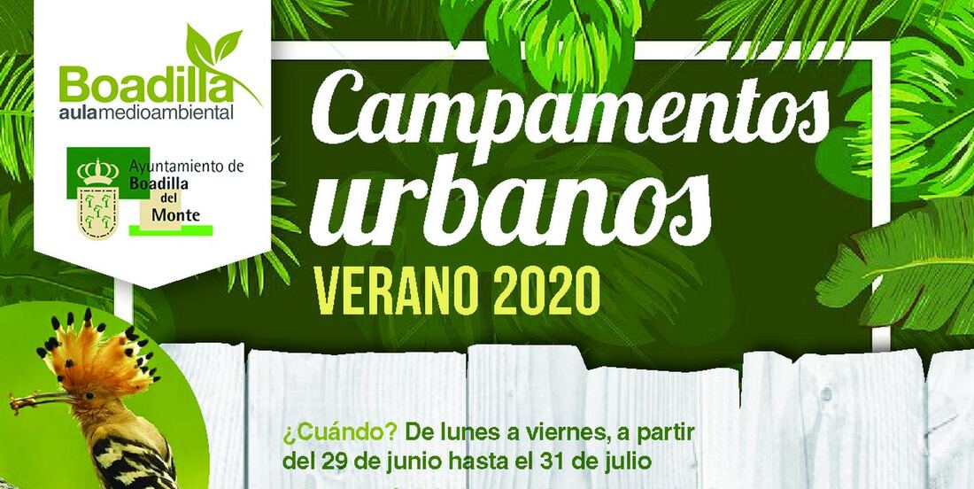 El Aula Medioambiental ofrece campamentos urbanos en julio para niños de 6 a 12 años