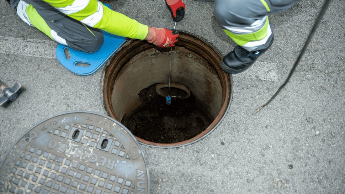 Inicio de la campaña de control de plagas en Boadilla del Monte
