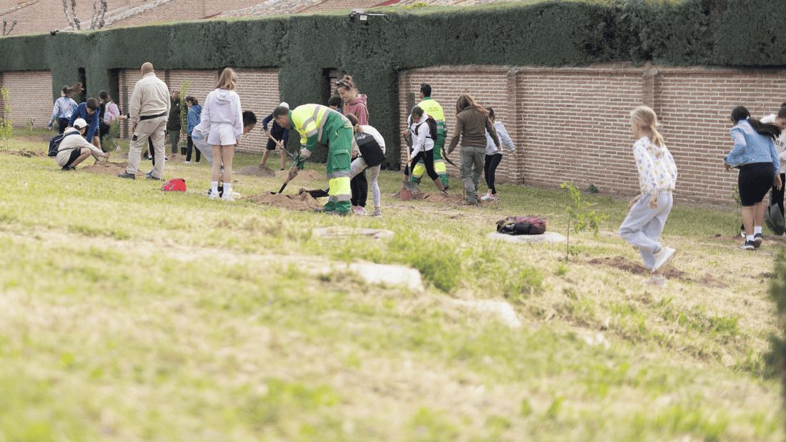 Los alumnos de Boadilla participan en una plantación para recuperar el olmo común en el parque forestal de Isla Tarifa