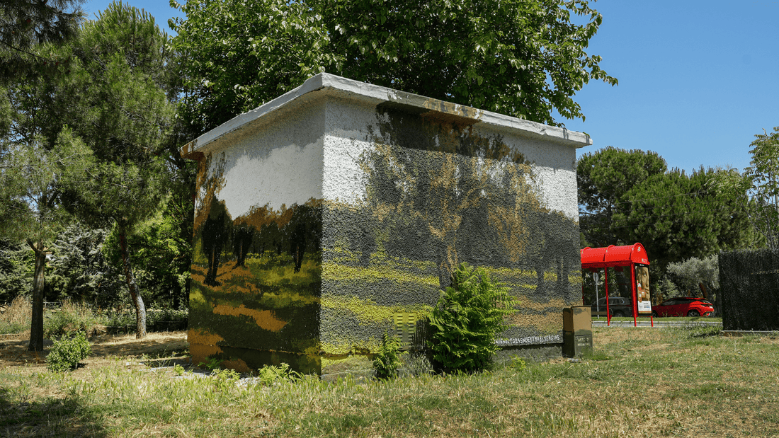 Boadilla embellece sus centros de transformación con murales inspirados en la naturaleza