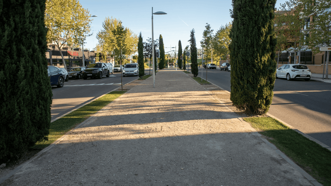 Boadilla impulsa su masa arbórea con más de 4.600 nuevos ejemplares desde 2021