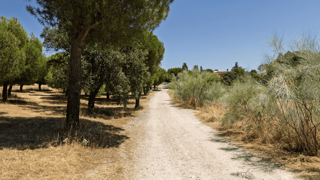Boadilla del Monte amplía su red ciclista con nuevos tramos de carril bici y sendas