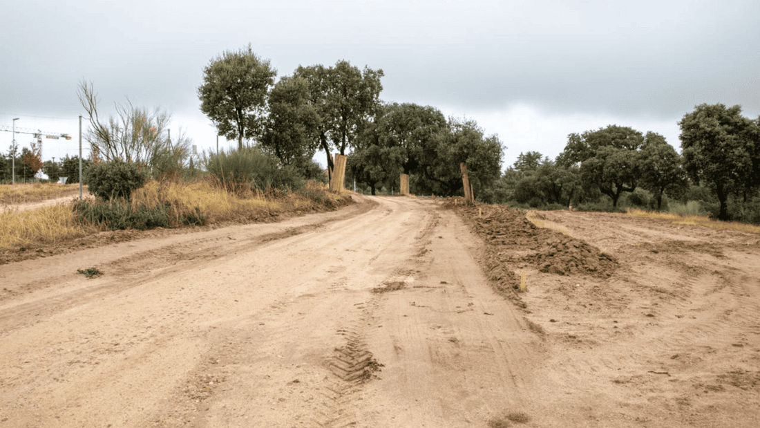 Boadilla mejora la senda ciclable paralela a la M-516 para conectar hasta Los Fresnos B