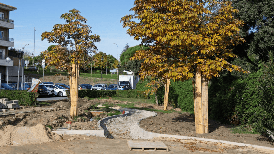 El Ayuntamiento afronta la remodelación integral del parque Virgen del Pilar dentro del plan del casco histórico